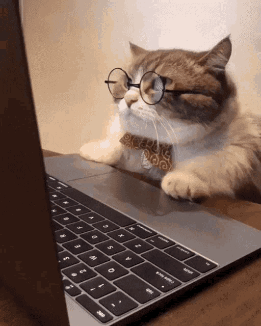 Cat computing